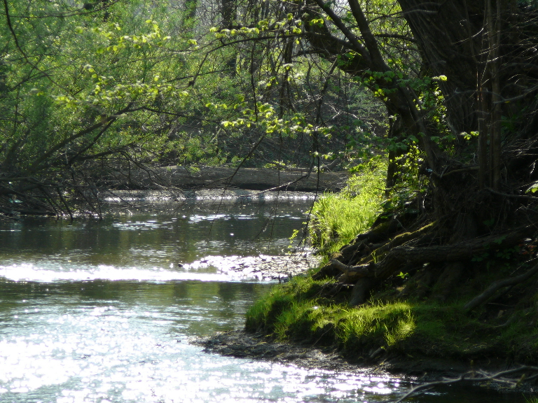 P1000894(1).JPG